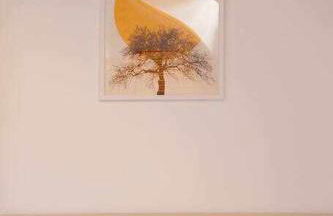 Coto Salinas By Silastur - Foto 20