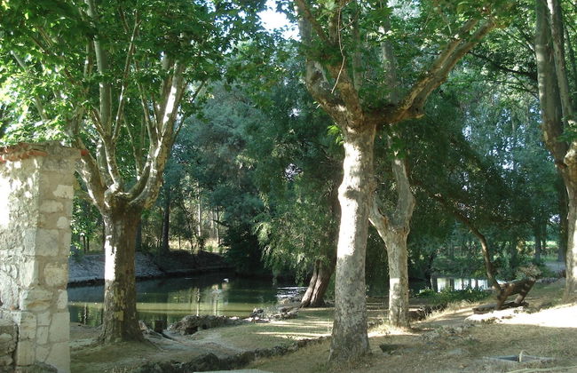 El Rincon del Labrador - Photo 20