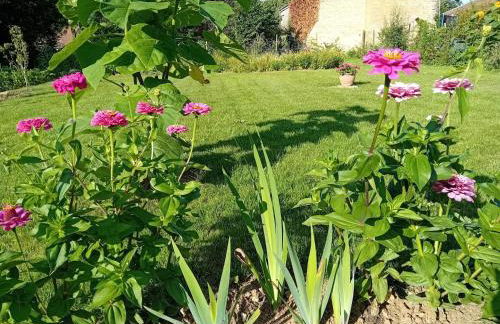 Grain d'orge et cornouiller - Foto 30