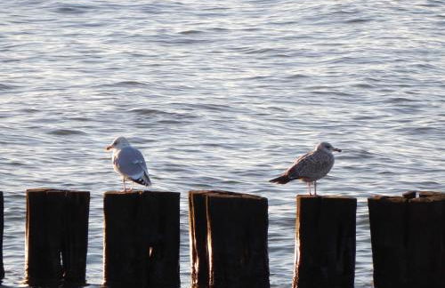 Ferienwohnung_Immenbarg _ Objekt 2 - Foto 4