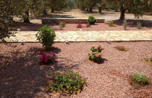 Aggeliki House 5 - Photo 24