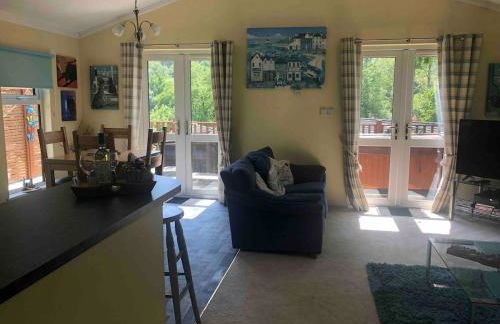 Lukes Lodge, where the fun begins, Woodland View, Hot Tub, dog friendly - Foto 52