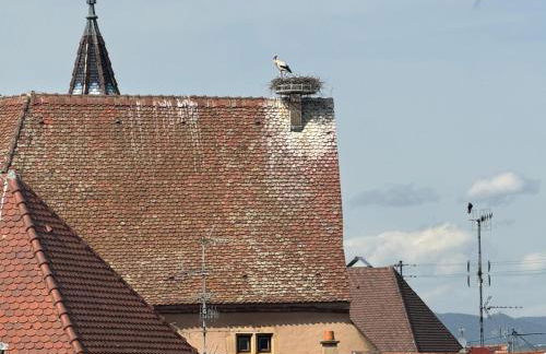 L'Adresse - Rempart Sud - Eguisheim avec garage privé - Foto 33