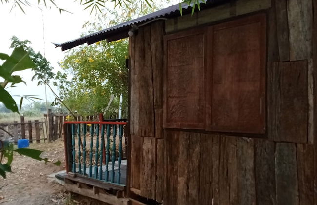 peaceland farmstay - Photo 17