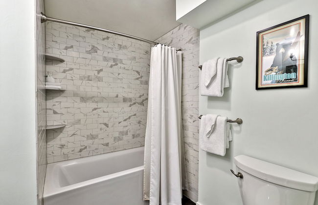 Fall Line Condo C3 1 Bedroom Condo - Photo 12