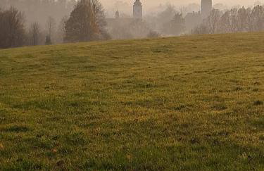 Przy pałacu - Foto 36