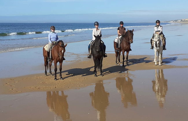 Doñana National Park Horse Riding Tour - Photo 1