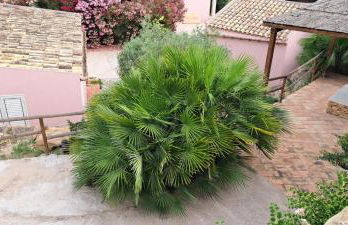 Passione Mare - Foto 25