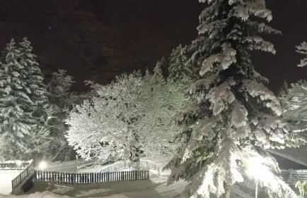 Residence Giardino - Photo 32