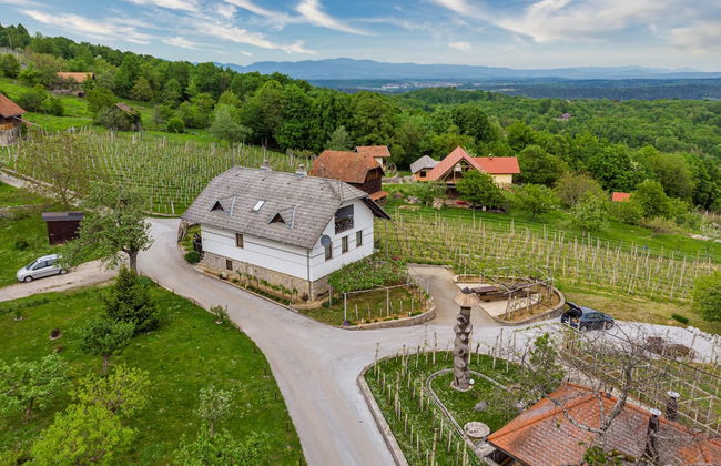 Vineyard Homestead Vrtin - Foto 43
