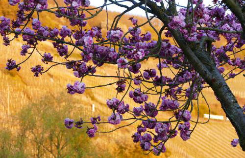 Luiza Fewo - Foto 19