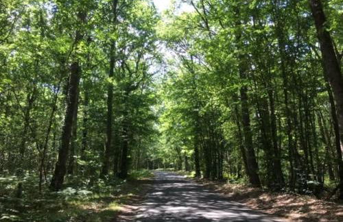 La Gentillere “Ancien Ermitage”PNR du Perche 3 * - Foto 11