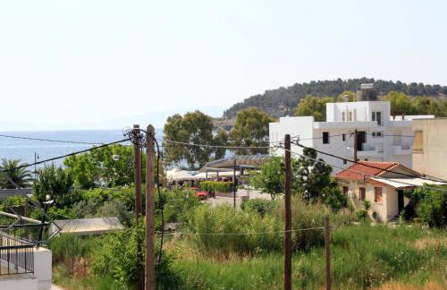 Hotel Stella - Photo 43