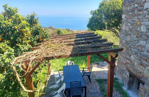 Studio terrasse climatisé VUE MER avec parking - Foto 18