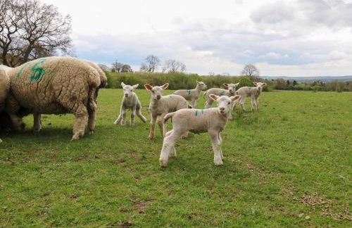 The Long Barn - Foto 47