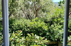 Sea-esta 2 - Foto 38