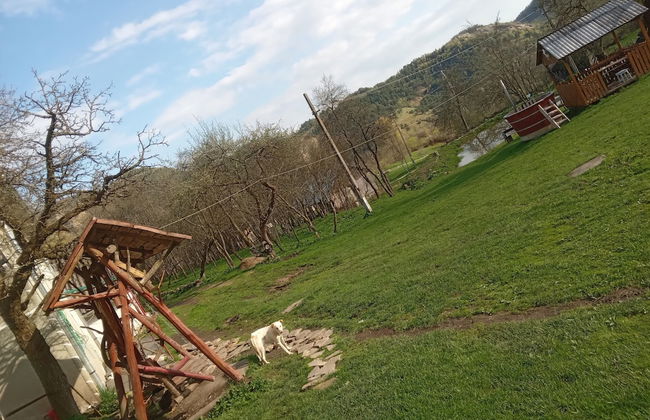 Room in Guest Room - Cozy Rural Retreat in Roşia Montana - Photo 69