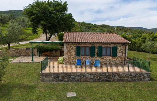 Poggio Diavolino - Suvereto - Foto 79