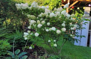 Am Möhnesee - Foto 14