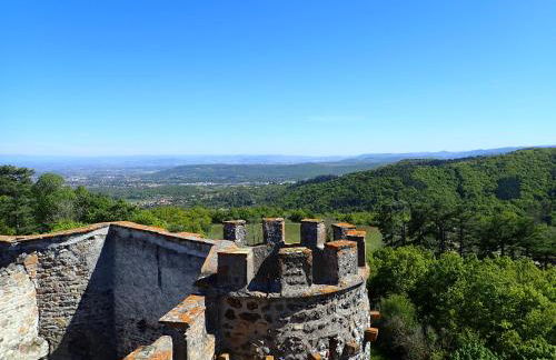 La Roche Pérégrine - Photo 41