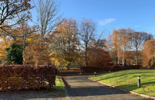 Bright, contemporary house & large private garden - Foto 34