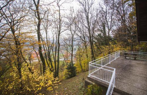 Old Chestnut Vacation Home - Foto 54