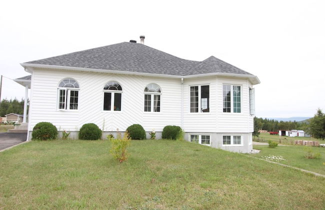 Les Trois Mentors Ghandi, Mandela, Luther King - Foto 36