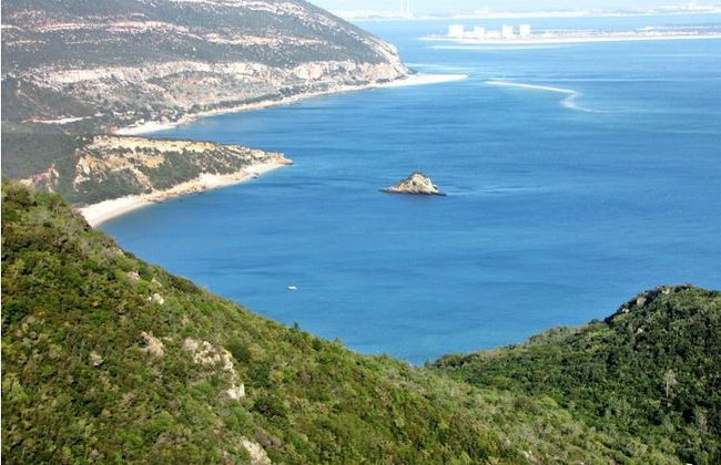 Arrabida and Bacalhoa Wine Tasting Private Tour from Lisbon - Photo 21