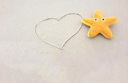 Top Of The Gulf 312 'The Tip-Sea Turtle' - Foto 46