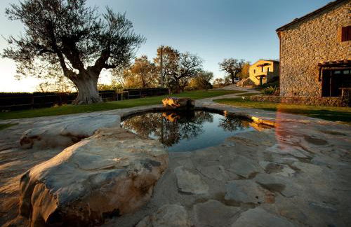 Sasseta Alta - Foto 59