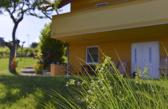 Apartments Vinska Trta - Photo 51