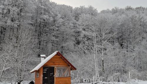 Apartman Lelly - Foto 4