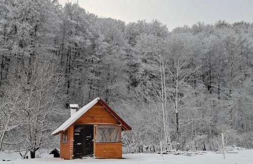 Apartman Lelly - Foto 4