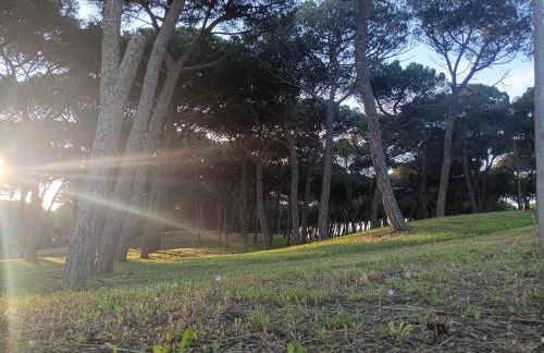 Lovely house tra pineta e mare - Foto 30