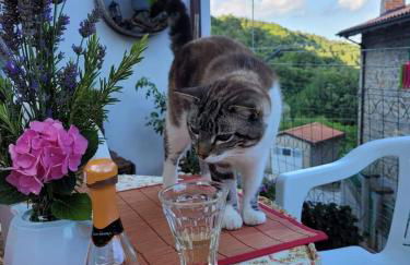 La Casetta della Nonna - Foto 19