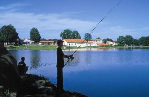 Villa in France with Garden & Barbecue - Foto 30