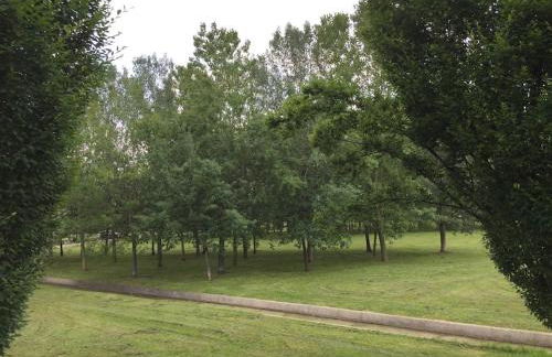 Nice flat overlooking the park - Foto 12