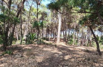OASIS ESCAPE - Foto 19