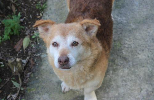 Casa da Quinta - Photo 8