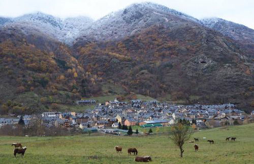 mcastet, casita aranesa en el valle de aran - Foto 49