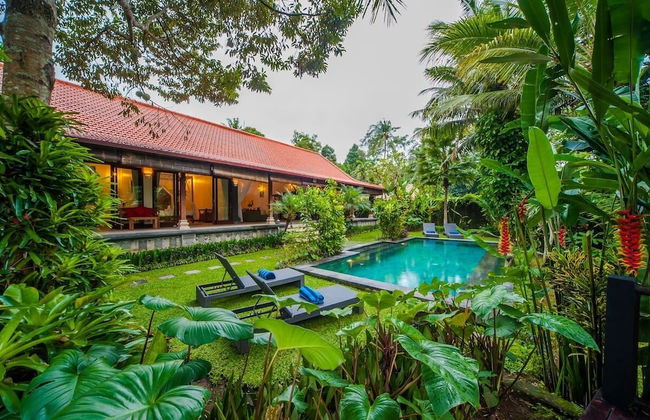Infinity Jungle View Aashaya Villa Ubud - Photo 28