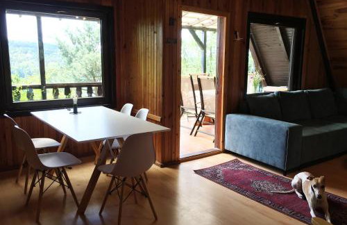 Kaszubskie Letnisko - Foto 9