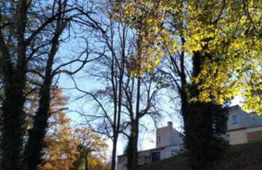 Charmant petit T2 au bord de l'Allier - Foto 13