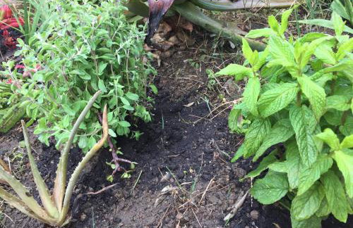 Maria’s Cottage House - Foto 45