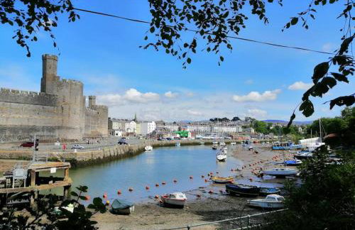 Lovely Stone Village cottage in Snowdonia - Foto 38