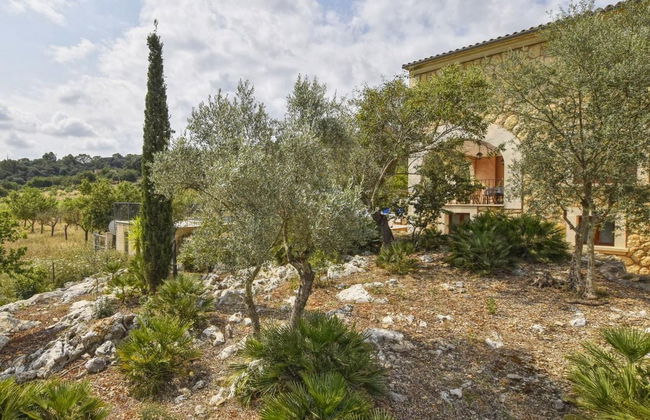 Pla De Ses Rotes - Foto 26