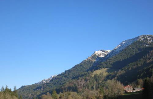 ALLGÄU HAUS - Foto 38