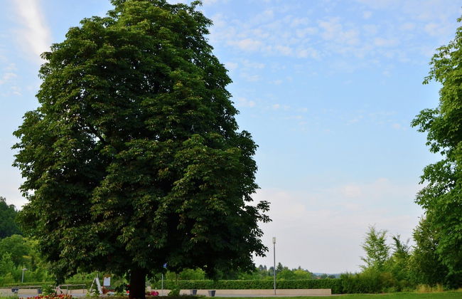 Wohnung mit Terrasse in Huddingen - Foto 30