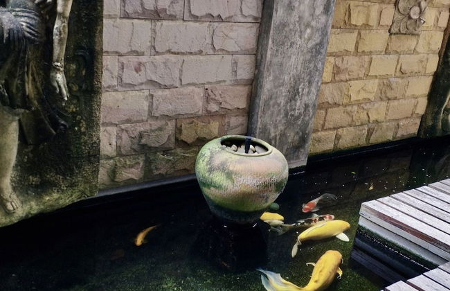 Momoka Luxury Villa - Foto 8