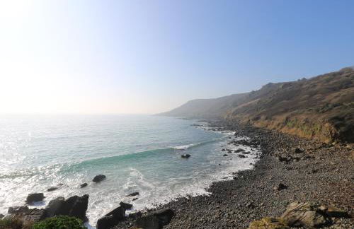 Gannet Watch - Foto 28